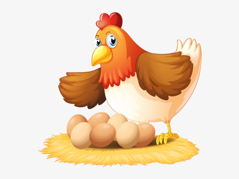 Chicken And Eggs Clipart, transparent png download