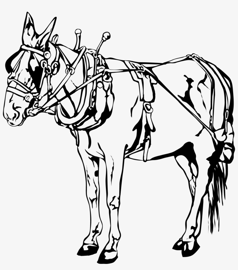 New Orleans Carriage Horse Vector Clip Art - Clip Art, transparent png download