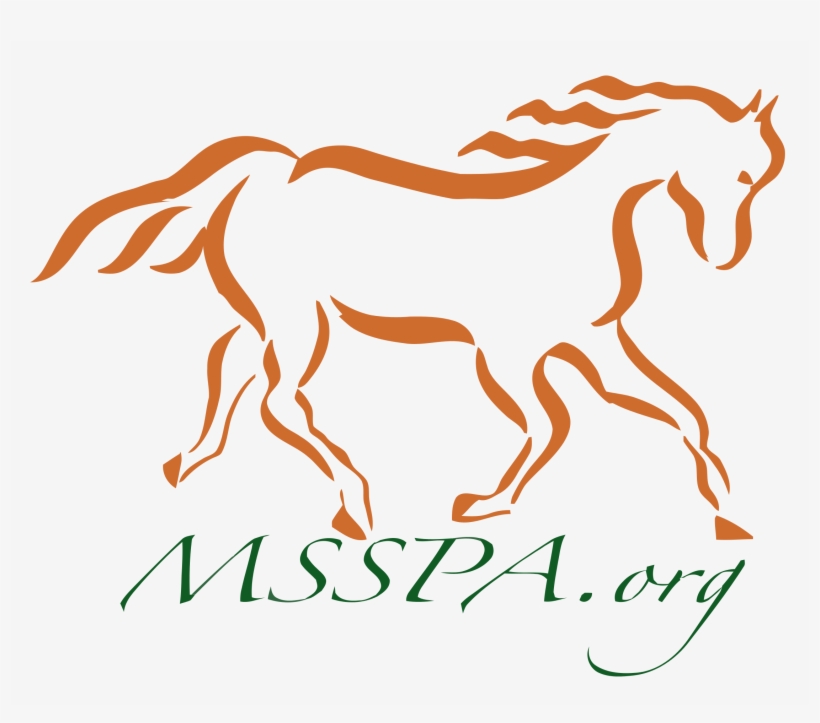 Horse, transparent png download