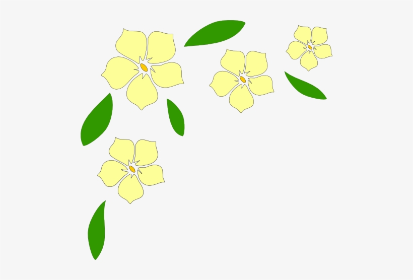 Jasmine, transparent png download