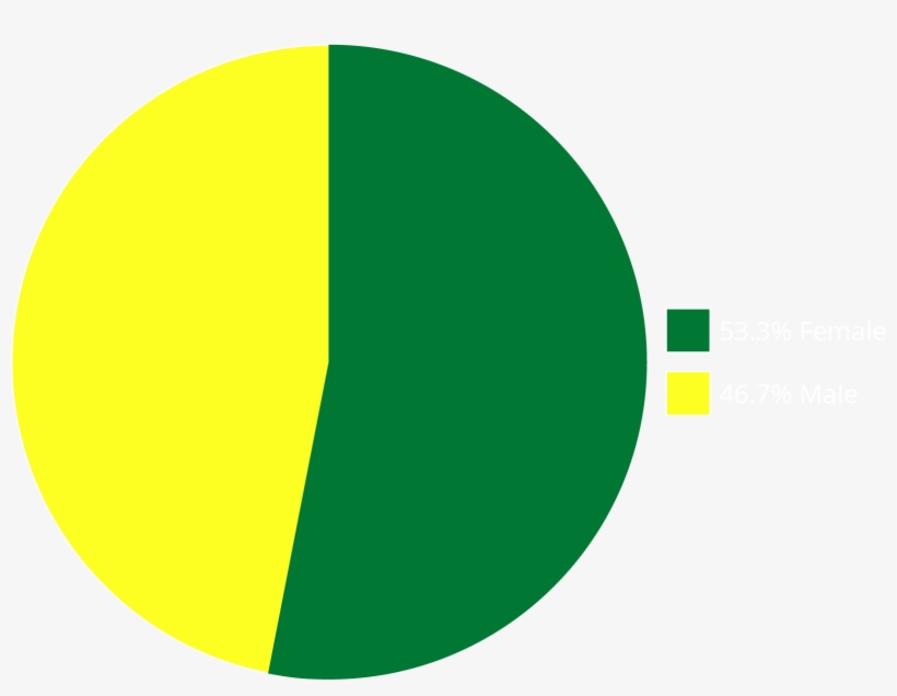 Pie Chart Of Enrollment Of Students By Sex - Pie Chart, transparent png download