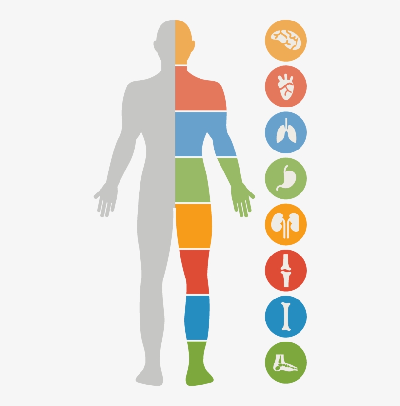 90 Essential Nutrients - Body Health, transparent png download