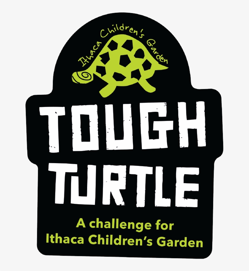 180 - Top, transparent png download