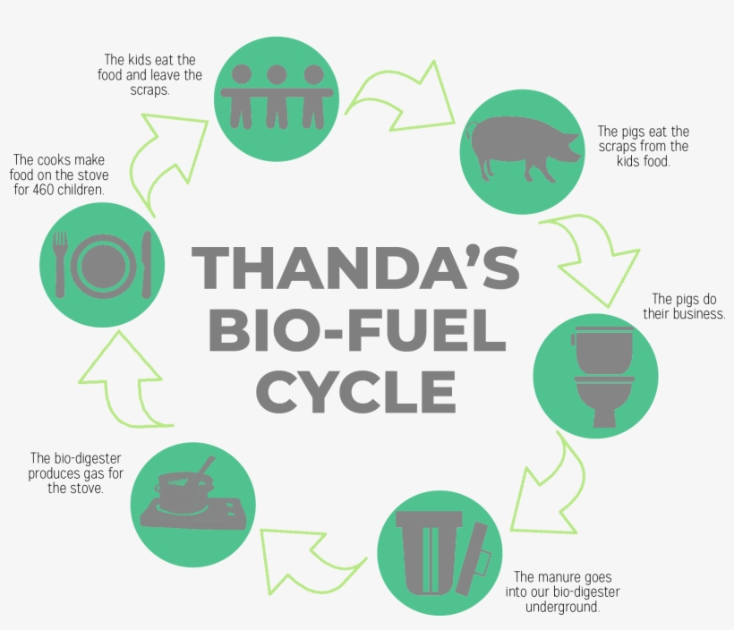 Screen - Smoking Signs To Print, transparent png download