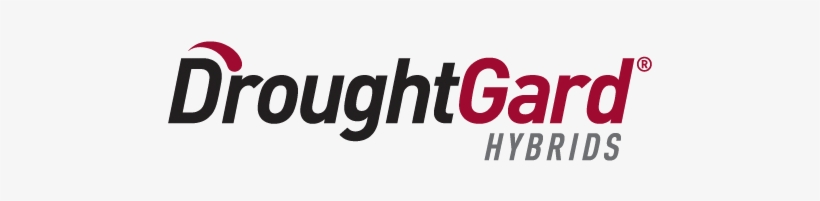 Download As Png - Kpmg Logo Cutting Through Complexity, transparent png download