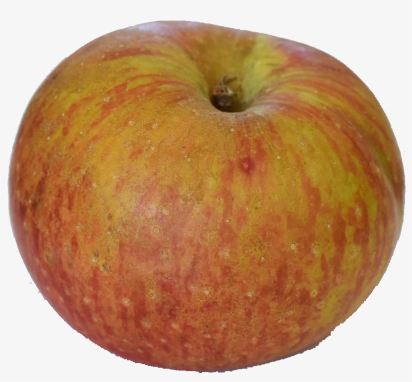 Why The Southern Apple - Apple, transparent png download