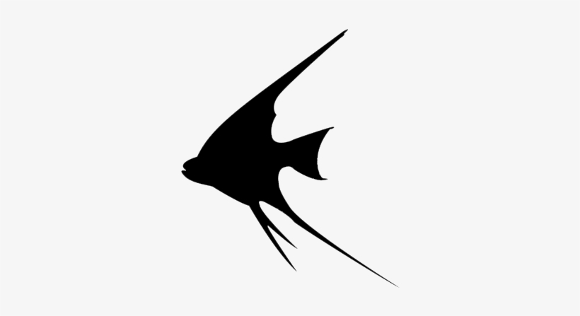 Tropical Fish Vector, transparent png download