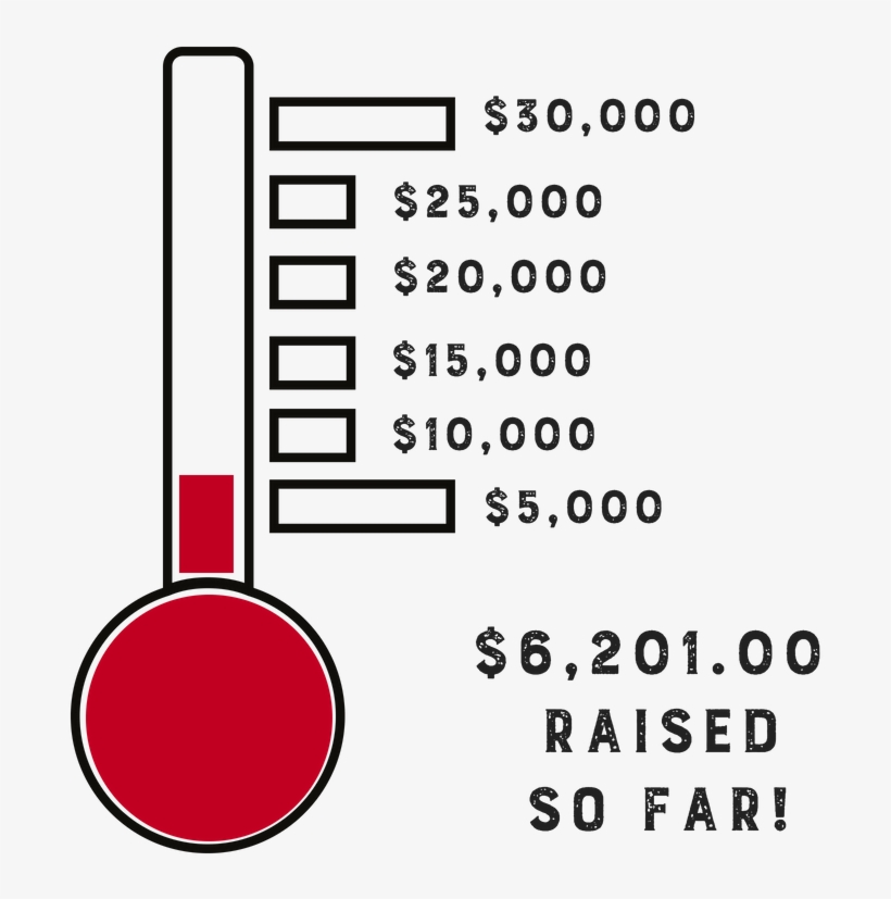 Abf Capacity Grant Thermometer - Circle, transparent png download