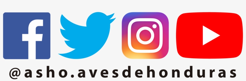 Síguenos En Nuestras Redes Sociales - Play Store Wordpress Theme, transparent png download