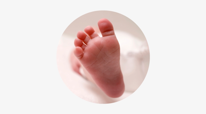 Picture - Baby's Foot, transparent png download