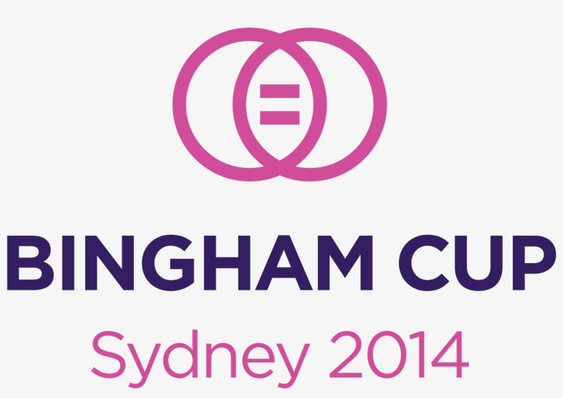 Bingham Positive Rgb - Young Ford Brigham City, transparent png download