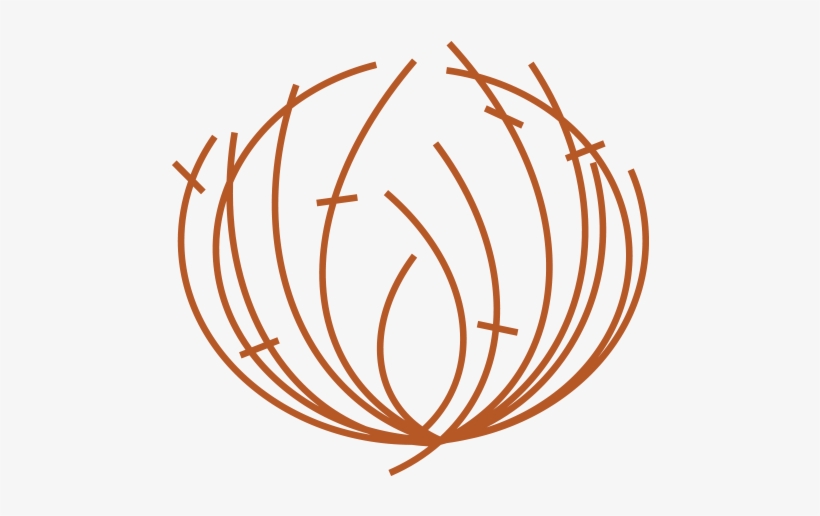 Tumble-weed - Portable Network Graphics, transparent png download