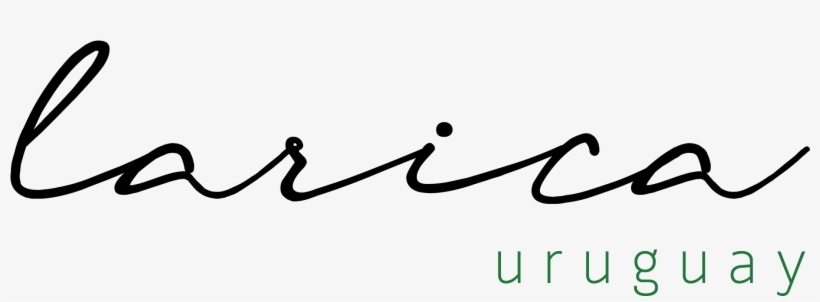 Larica Uruguay Fundo Transparente - Calligraphy, transparent png download