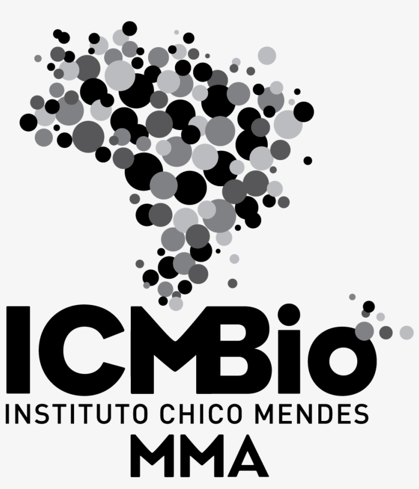Formato - Logo Icmbio, transparent png download