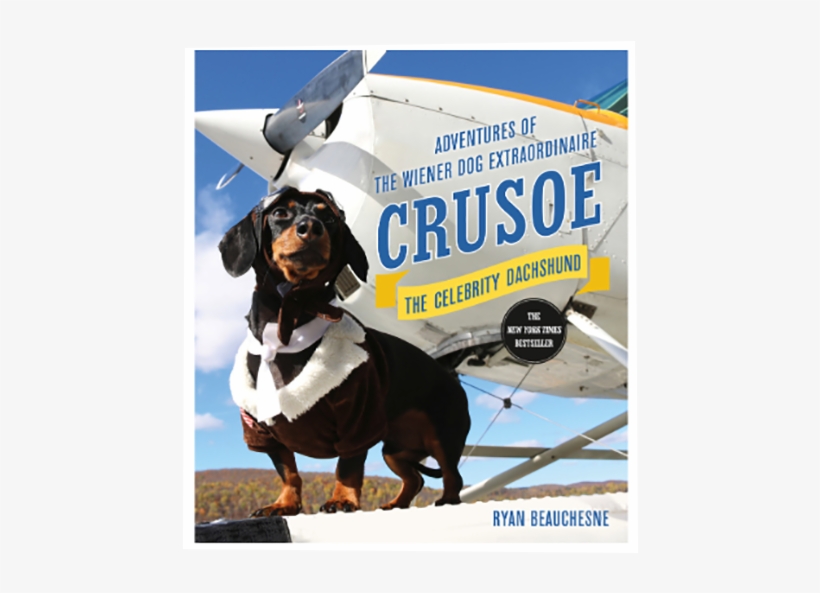 “crusoe, The Celebrity Dachshund - Crusoe The Celebrity Dachshund Book, transparent png download