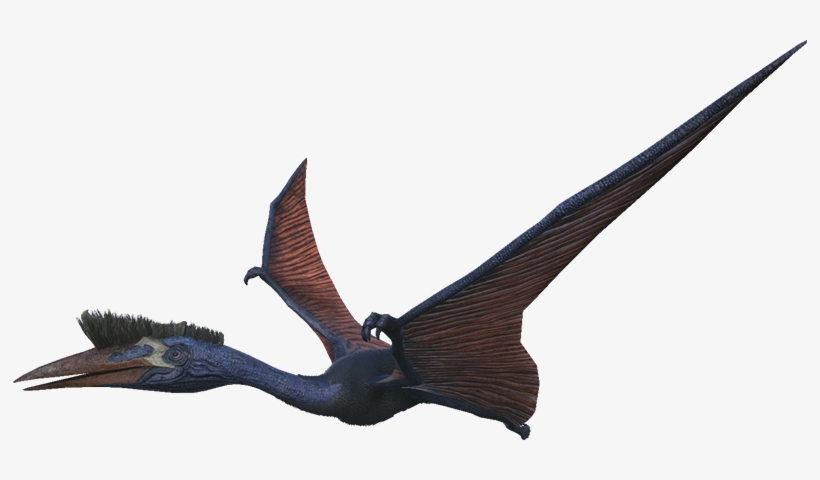 Quetzal Taming Calculator Dododex - Ark Survival Evolved Quetzal, transparent png download