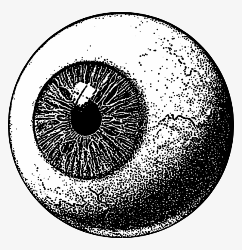 Logo Gronn Ekko Eye Illustration - Illustration, transparent png download