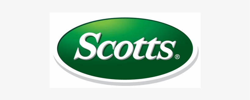 Primo Brands - Pitch Hit And Run 2017, transparent png download