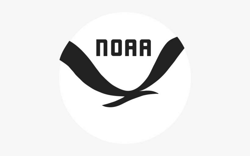 Download Noaa Logo - Noaa White Logo Png | Transparent PNG Download ...