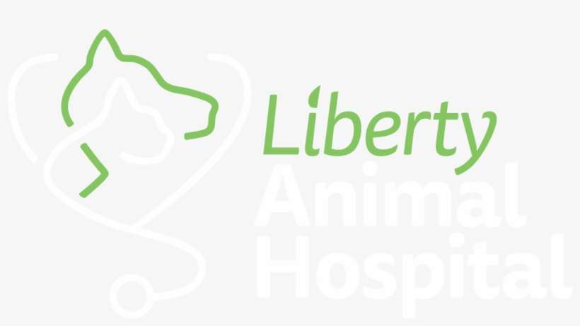 Login Security Notice Liberty Mutual - St Joseph's Women's Hospital, transparent png download