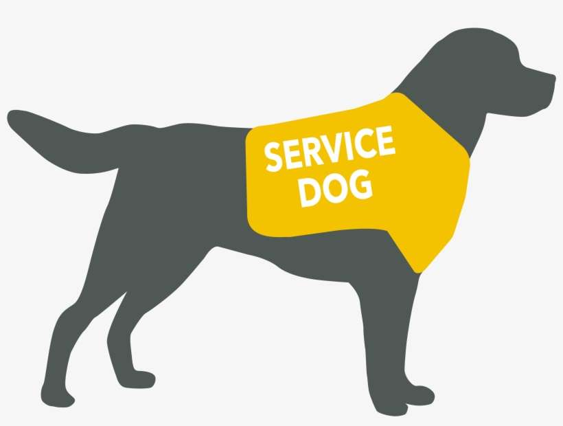 Service Animals Graphic - 24 Hour Service, transparent png download