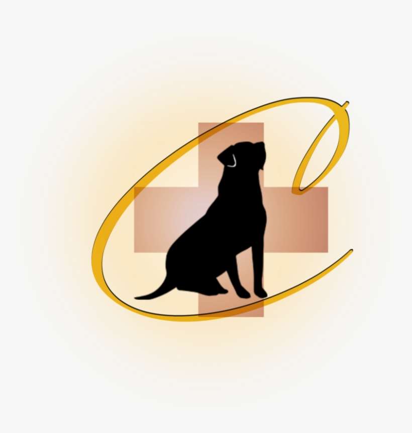 Classic Canines Service Dogs - Dog, transparent png download