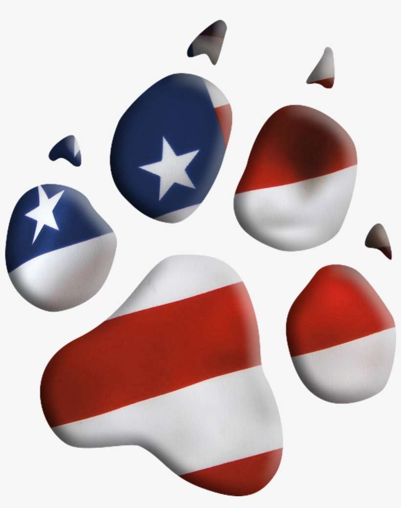 Ptsd Service Dogs - Veteran Service Dogs Clip Art, transparent png download