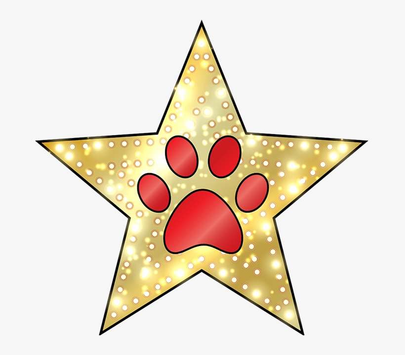 Lucky Dog Spa Icon - Veganism, transparent png download