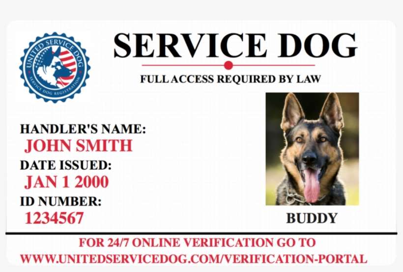 service dog id