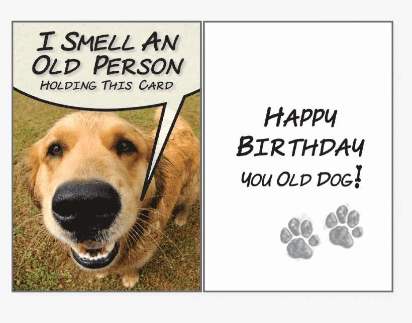 I Smell An Old Person - Dog Wishing You A Happy Birthday, transparent png download
