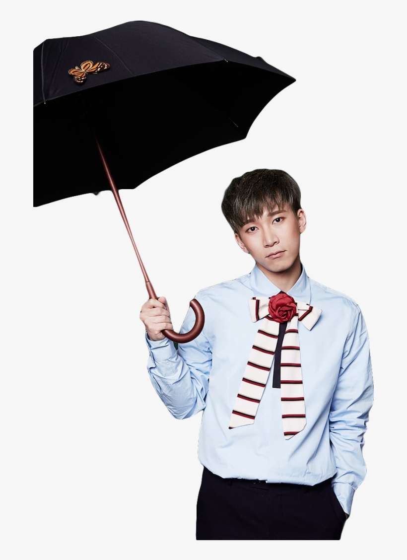 Dollsey99 - Umbrella, transparent png download