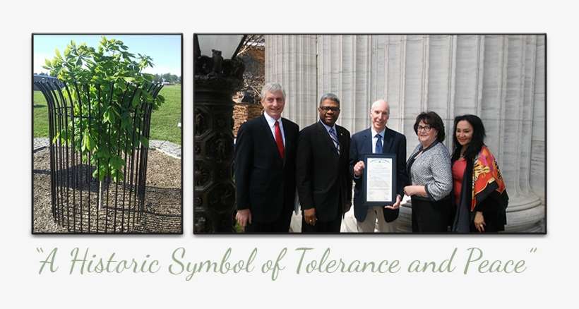 The Southern Cayuga Anne Frank Tree Project Is Proud - Anne Frank Tree, transparent png download