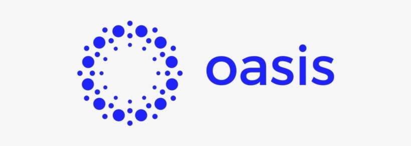 Oasis Discovery Partners Provides Cost Effective Ediscovery - Open Window Institute, transparent png download