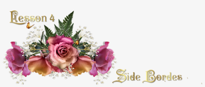 Side Borders Can Give A Different Look To A Webpage, - Garden Roses, transparent png download