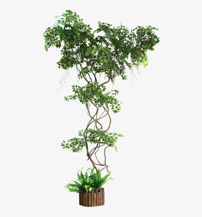 Ginkgo Fake Tree Vine Simulation Tree Balcony Bag Pillar - Tree, transparent png download