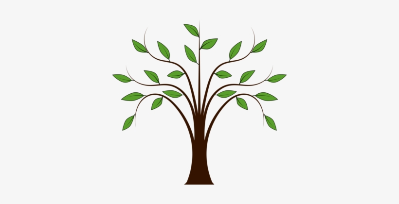 Tree Download Oak Document - Spring Trees Clip Art, transparent png download
