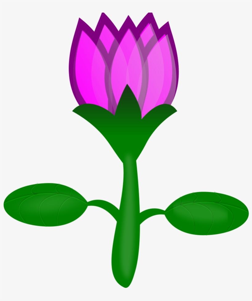 Calligraphy Lotus Medium 600pixel Clipart, Vector Clip - Cartoon Flower With Transparent Background, transparent png download