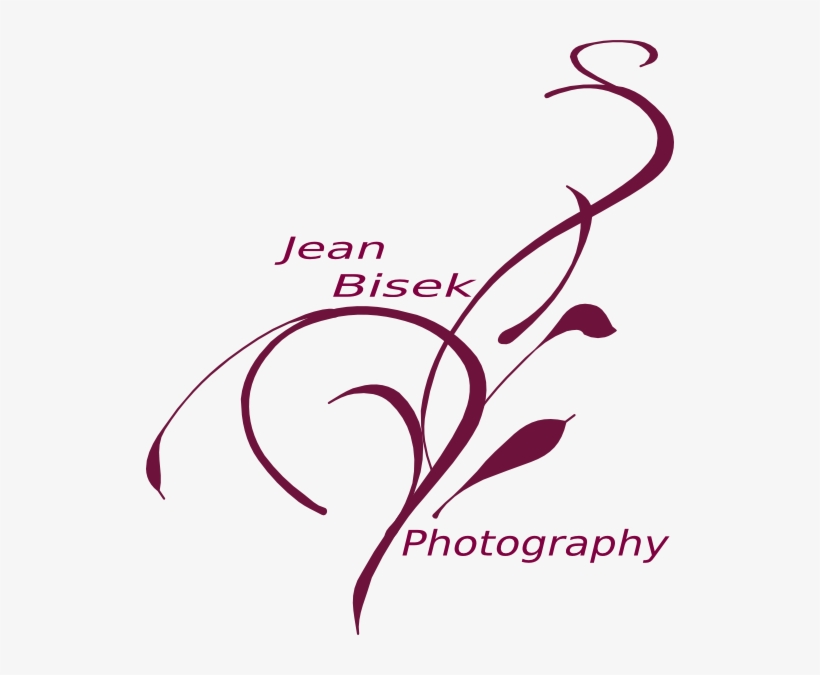 Vine Clip Art, transparent png download