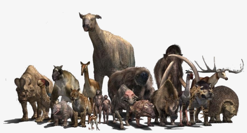 The Beasts Vector Two - Walking With Beasts Indricotherium, transparent png download