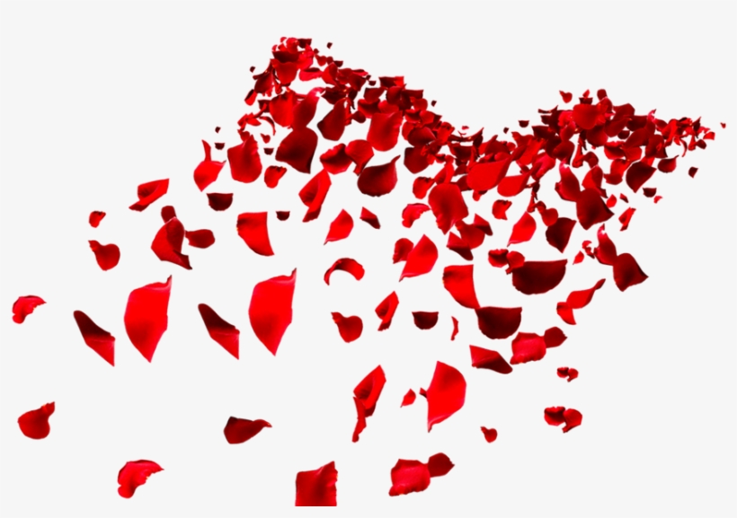 Art Decoration Wallpaper Design - Wallpaper, transparent png download