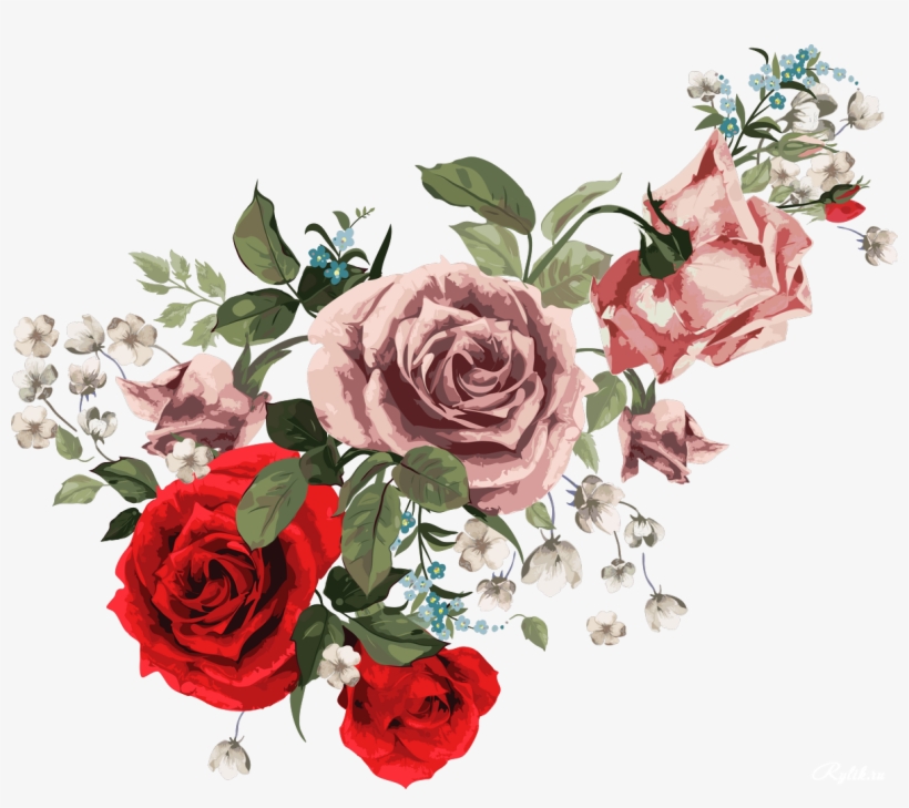 Vintage Roses - White Case - Iphone 6 Plus, transparent png download
