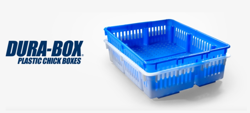 Dura Box - Infant Bed, transparent png download