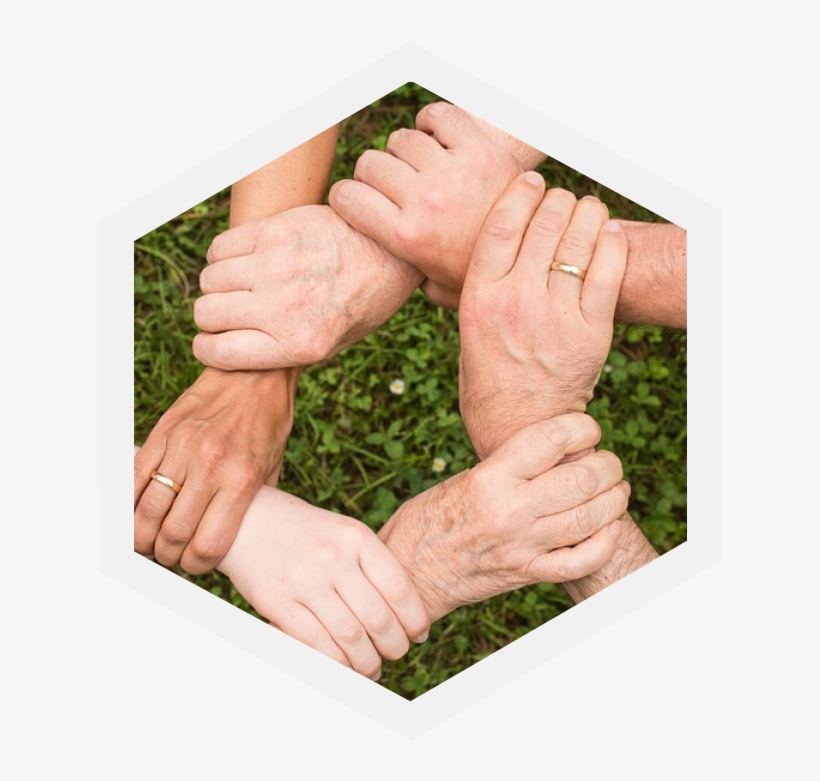 Qore Supportive - Holding Hands, transparent png download