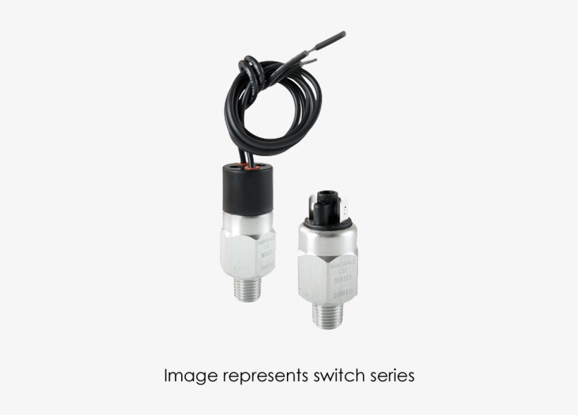 Barksdale Series Csk Compact Pressure Switch, Single, transparent png download