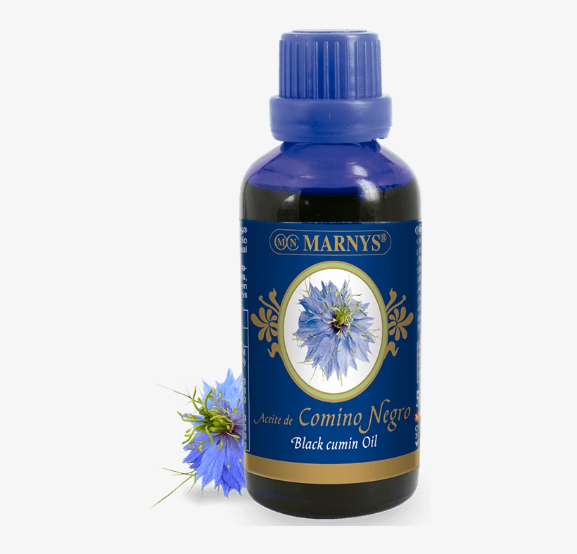 Pure Black Cumin Oil - Marny's Black Cumin Oil 50ml. 50 Ml, transparent png download