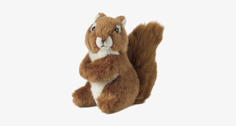 Red Squirrel Soft Toy - Living Nature Squirrel, transparent png download