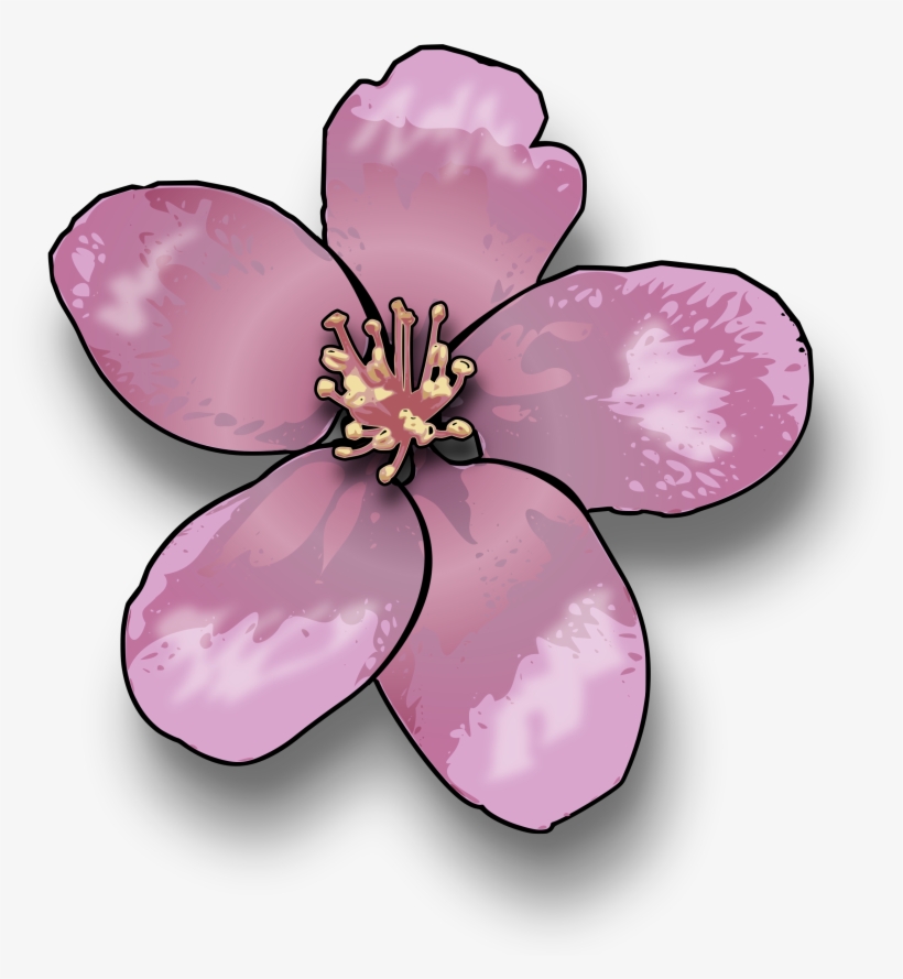 Download Line Art Computer Icons Flower - Peach Blossom Clipart, transparent png download