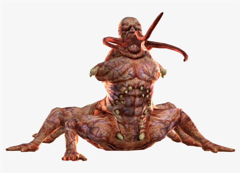 362kib, 800x529, Centaur - New Vegas Centaur, transparent png download