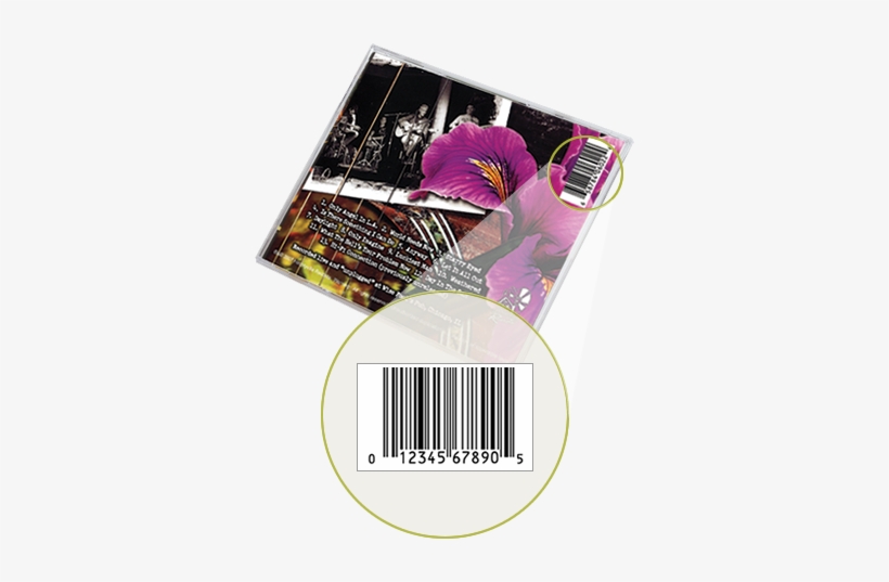 Barcode For Music - Pansy, transparent png download