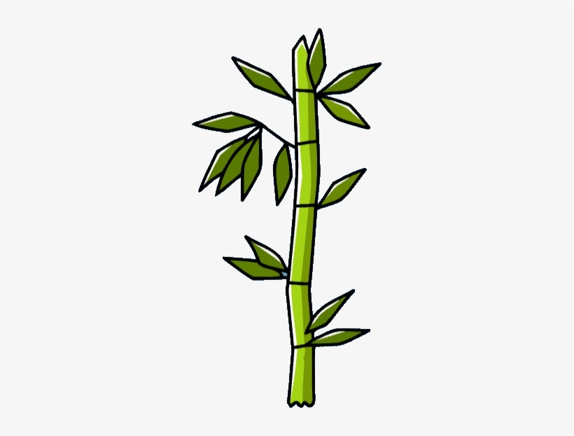 Bamboo, transparent png download